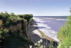 Boltenhagen Steilkste