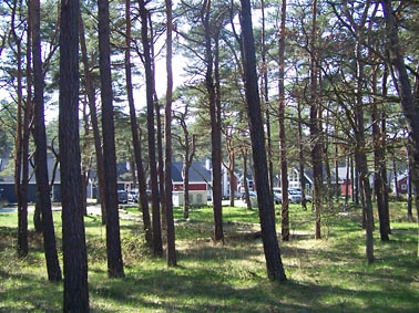 Baabe Strandpromenade