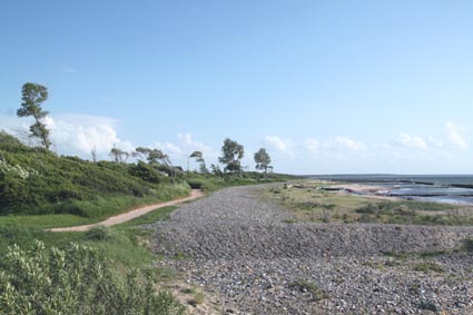 Dranske Spazierwege am Bodden - Strand