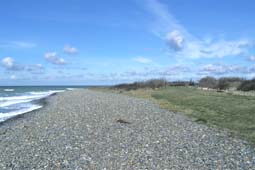 Dranske Dranske - Bug