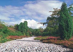 Insel Rgen - Mukran, Feuersteinfelder