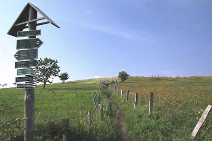 Goehren - Wanderweg zur Schwedenbrcke