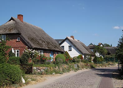 Gross Zicker im Dorf