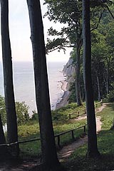 Insel Rgen - Kreidekste