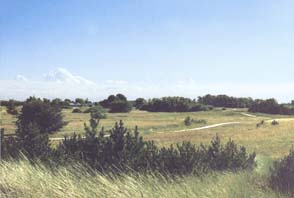 Bei Dranske - Schletwege in der Kreptitzer Heide