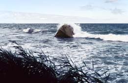 Lohme Schwanenstein - Insel Rügen