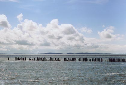 Polchow - Insel R�gen