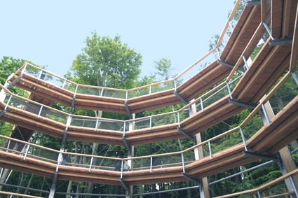 Naturerbezentrum mit Baumwipfelpfad