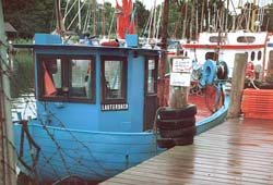 Lauterbach - Hafen 2