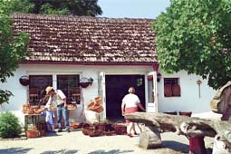 Insel Rügen Putgarten - Rügenhof