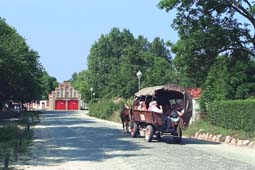Putgarten Pferdekutsche Insel R�gen