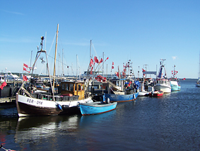 Ostseebad Rerik - Fischereihafen