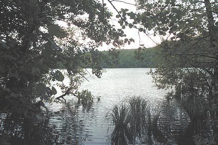 Herthasee auf Rügen