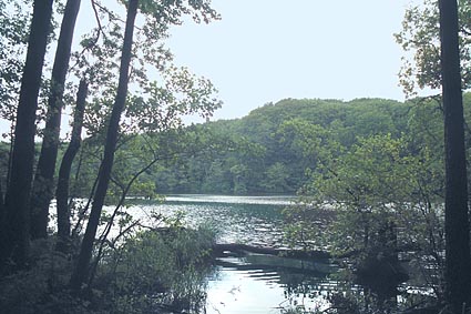 Herthasee Insel Rgen - Stubbenkammer