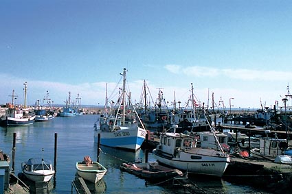 Sassnitz, Insel Rügen, alter Stadthafen