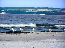 Schaabe - Blick auf Jasmund, Insel Rügen