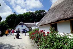 Vitt - Reetdachkaten