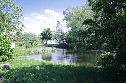 Wiek auf Rgen - Dorfidyll