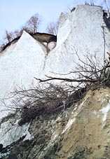 Wissower Klinken - Kreidek�ste mit Ger�ll