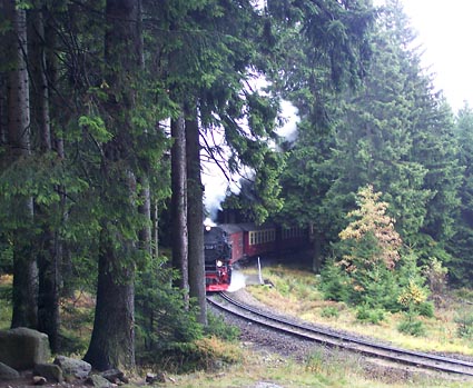 der Harz