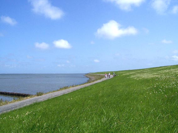 Radweg am Deich in Niedersachsen