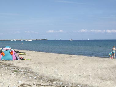 Kappeln Strand Weidefeld