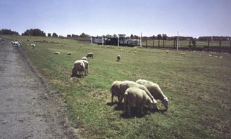 Krueckau Deich Sperrwerk