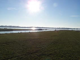 Kollmar Krckaumndung Lhnhserdeich