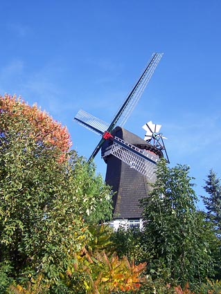 Meldorf S�derm�hle