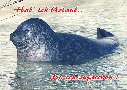 Ansichtskarte Postkarte  Allgemein Ag 10  - Seehund,Urlaub..