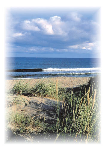 Ansichtskarte Postkarte  Allgemein AL 02 - Am Strand