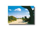 D&uuml;nenlandschaft