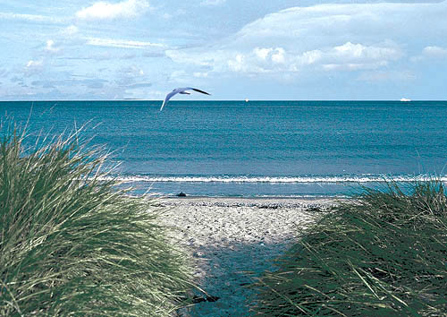 Ansichtskarte Postkarte  Allgemein - Strandd�ne AL 08