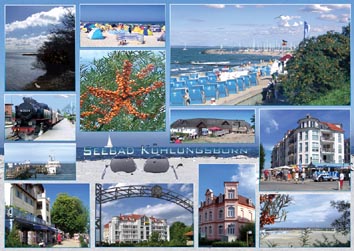 Ansichtskarte Postkarte Khlungsborn 42 Sanddorn
