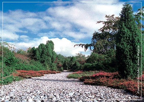 Ansichtskartenverlag