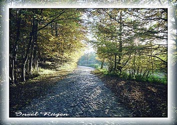 Ansichtskarte Postkarte R�gen LR 11