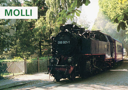 Molli