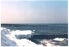 Ansichtskarte Postkarte  Allgemein Wo 02 - Winter an der Ostsee