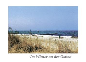 Ansichtskarte Postkarte  Allgemein Wo 03 - Winter an der Ostsee