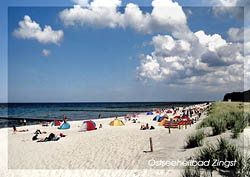 Ansichtskarte Postkarte von Zingst  Zi 03