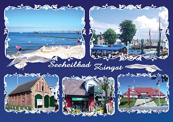 Ansichtskarte Postkarte von Zingst Zi 16 Ranken