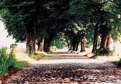 Mecklenburg-Vorpommern