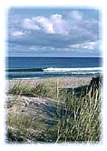 Ansichtskarte Postkarte  Allgemein AL 02 - Am Strand