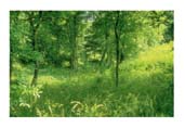 Ansichtskarte Postkarte  Allgemein Landschaft AL 13