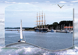 Tr 20