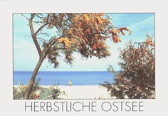 Landschaft 3
